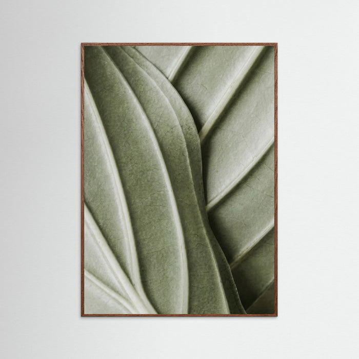 Oak Dark Verdant Folds