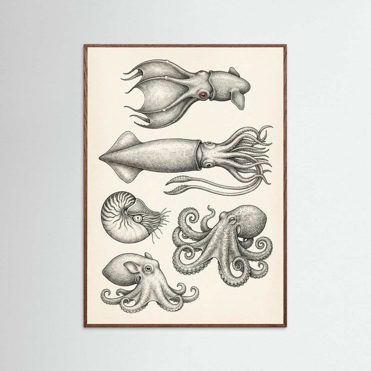 Oak Dark Vintage Shark Study