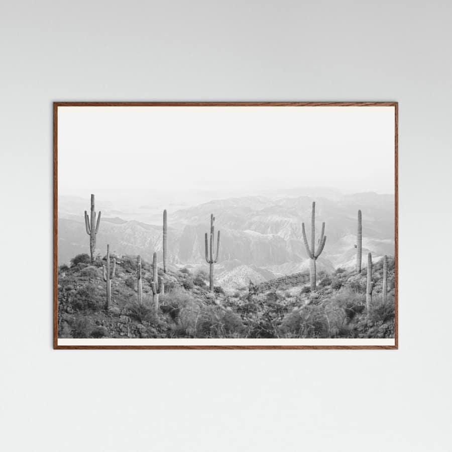 Oak Dark Western Cactus Poster