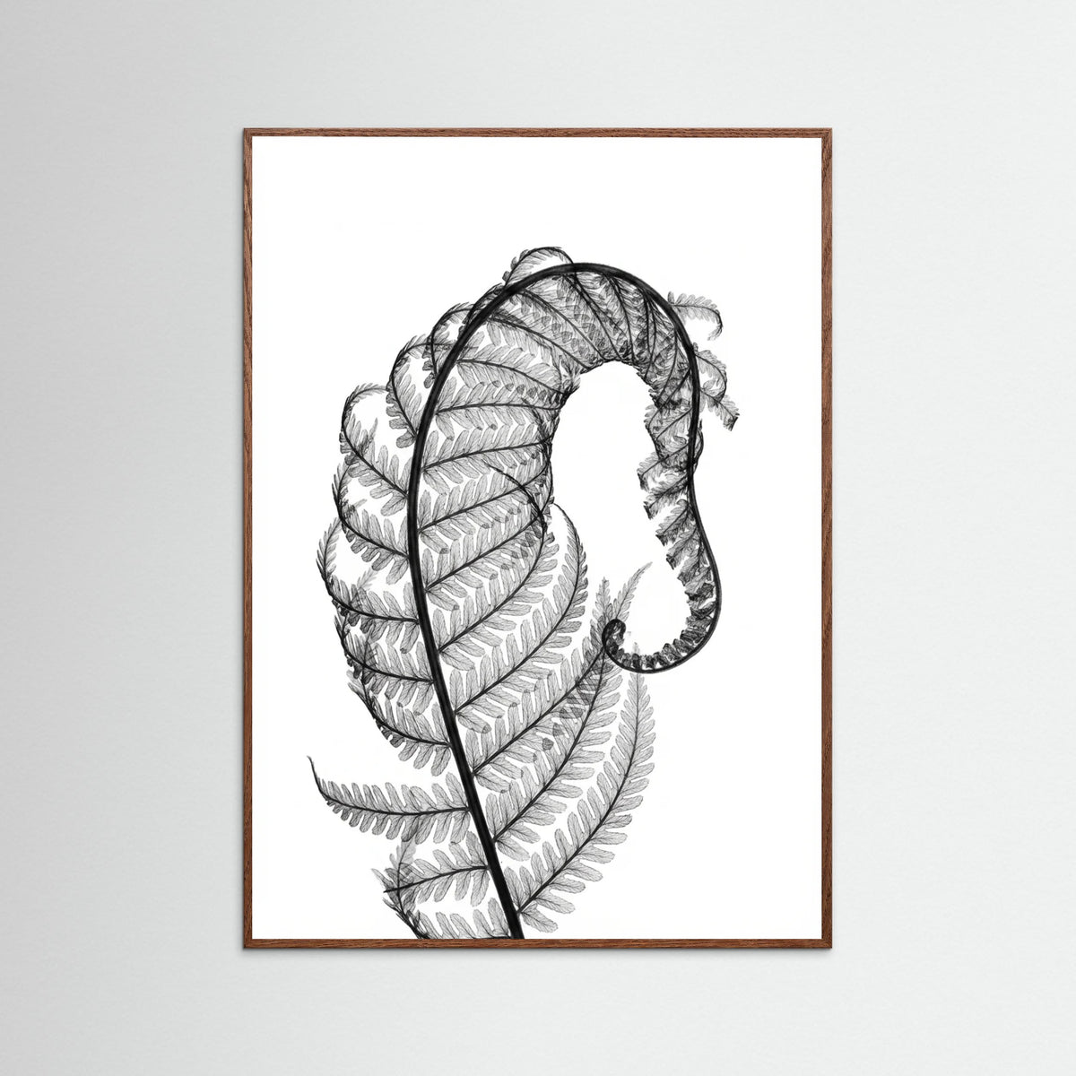 Oak Dark Whisper Bloom