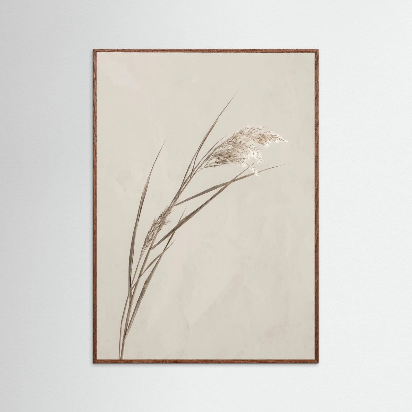 Oak Dark Whisper Bloom