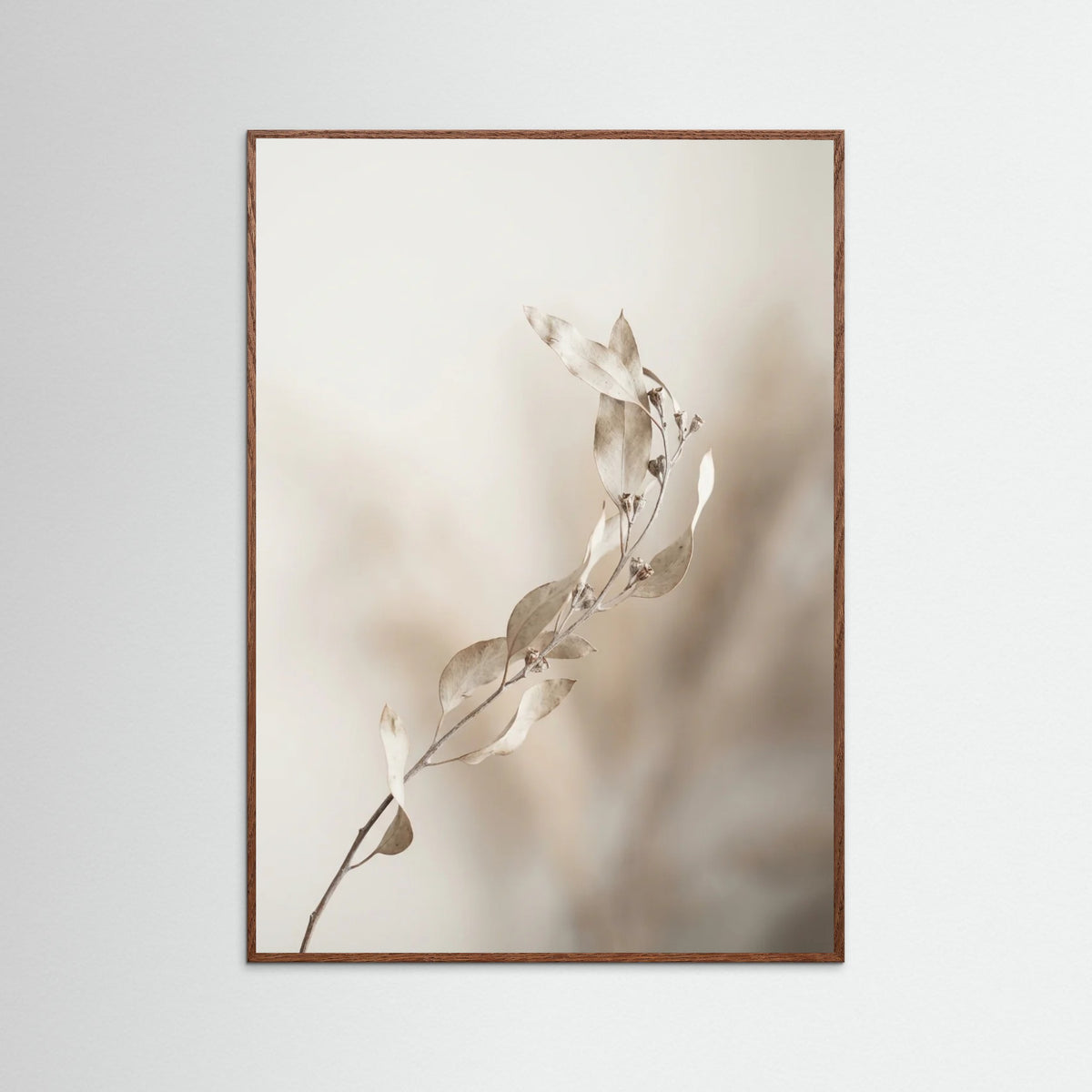 Oak Dark Whispering Pampas