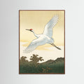 Oak Dark White Peacock Elegance