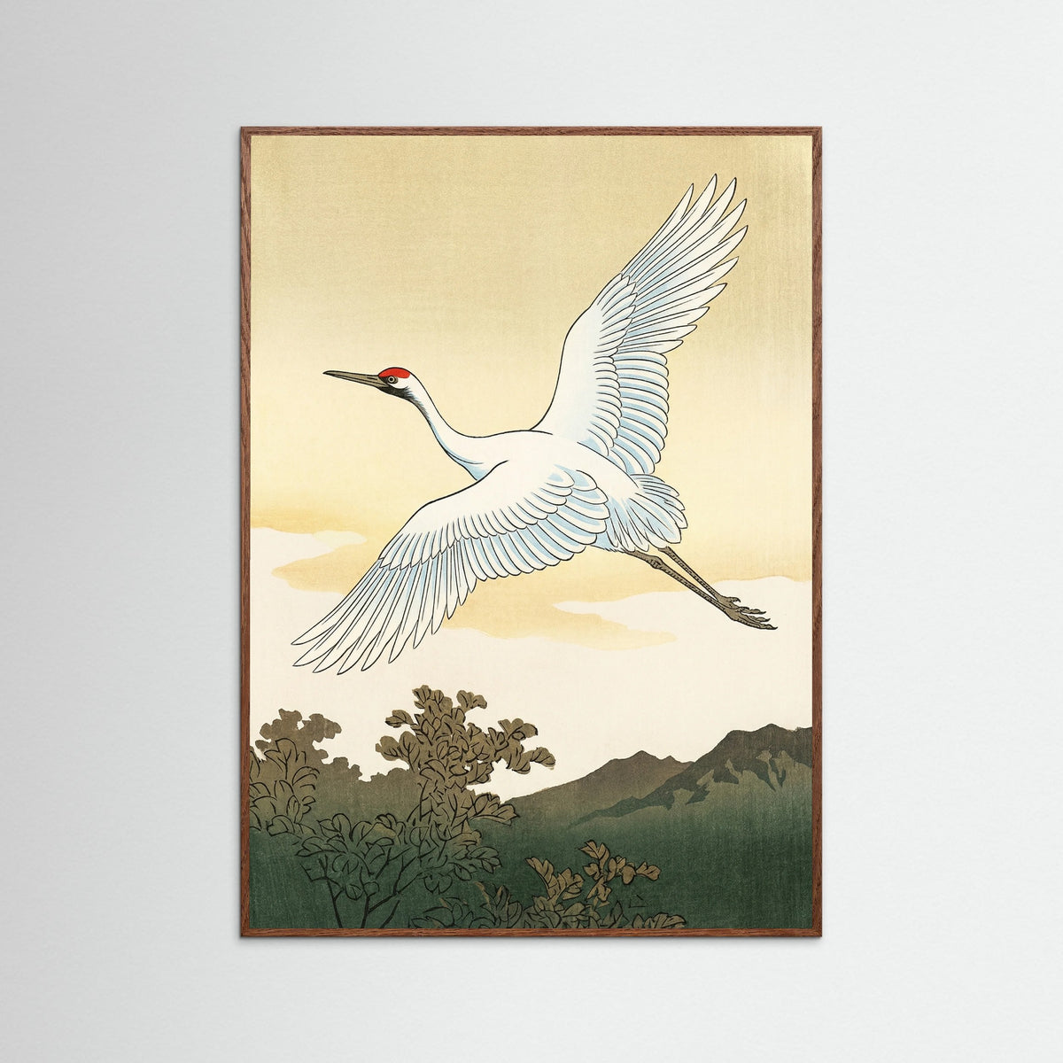 Oak Dark White Peacock Elegance