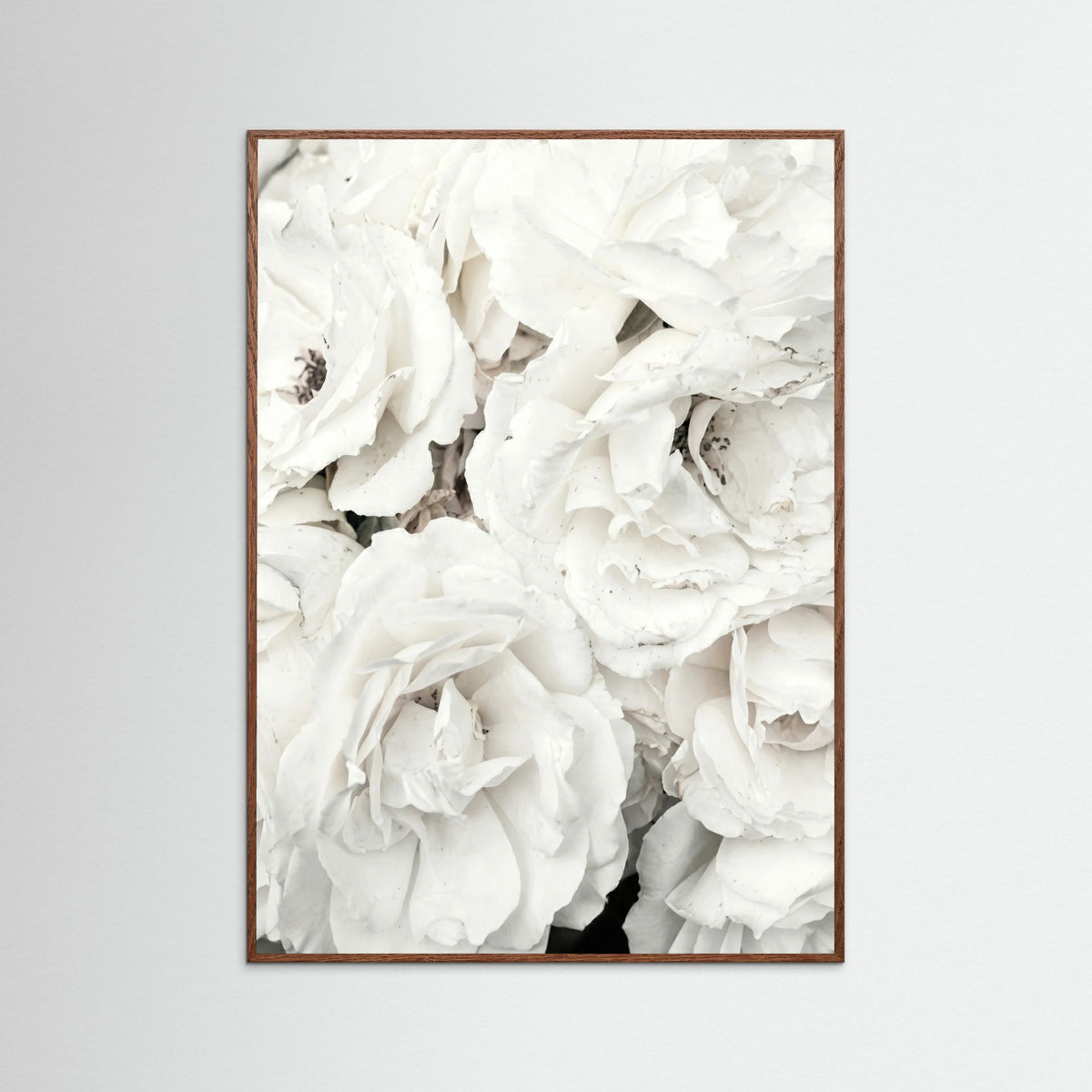 Oak Dark White Petal Embrace