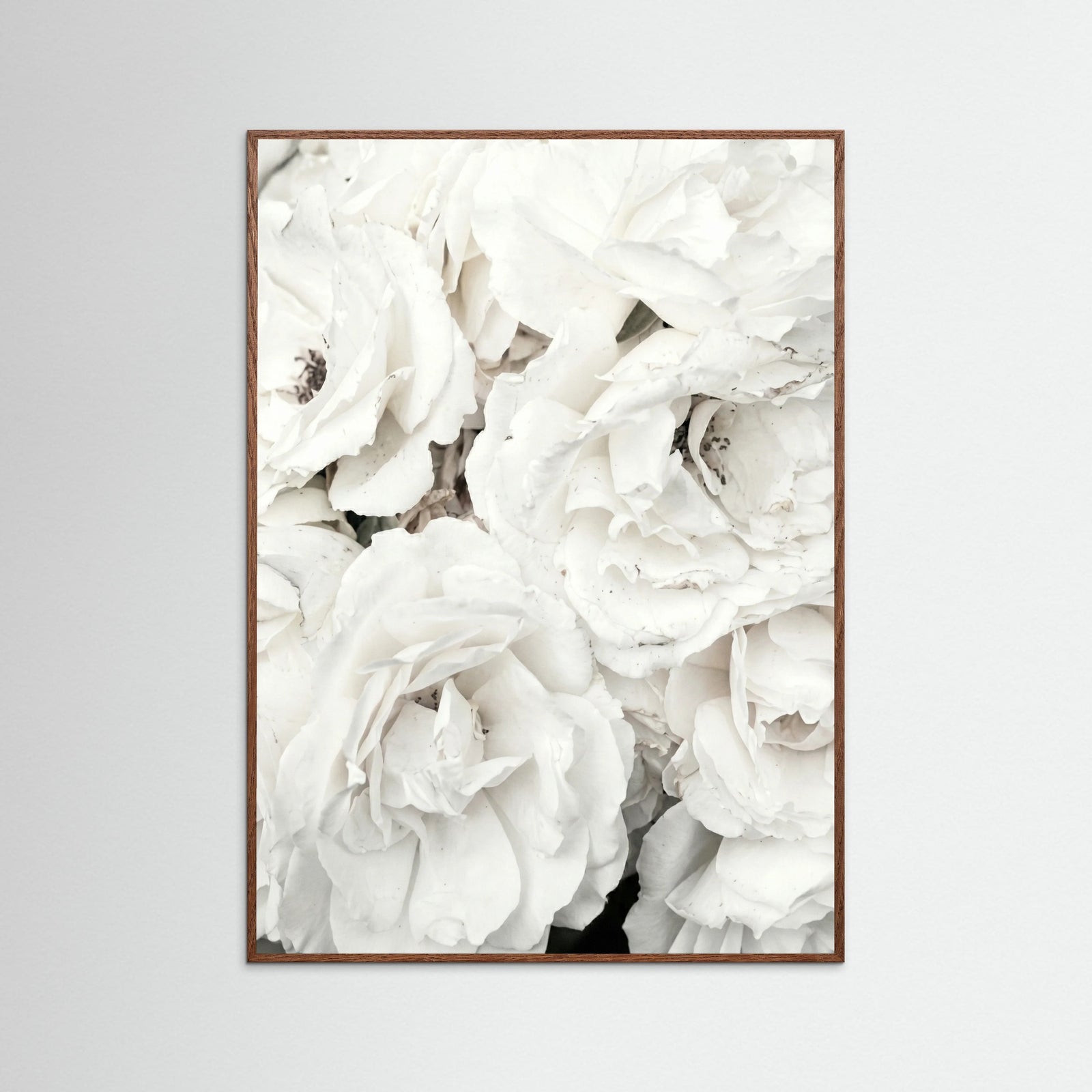 Oak Dark White Petal Embrace