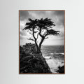 Oak Dark Windblown Grace