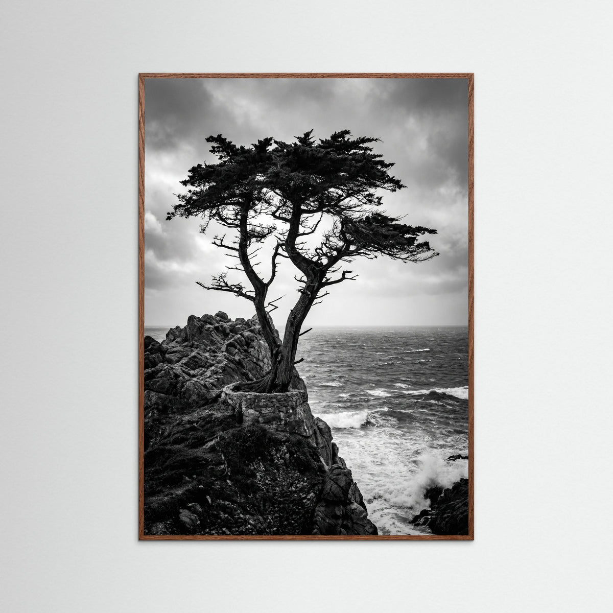 Oak Dark Windblown Grace