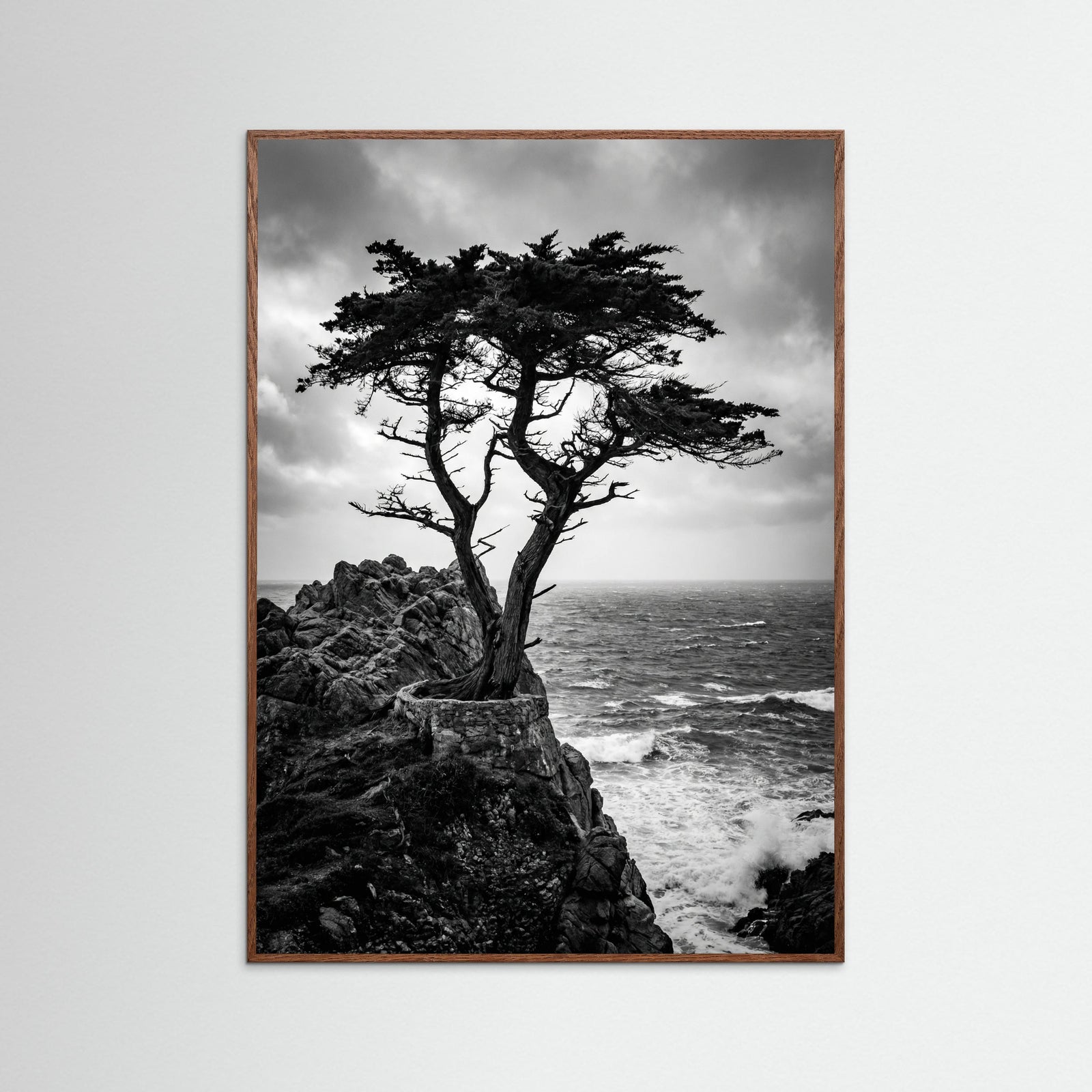 Oak Dark Windblown Grace