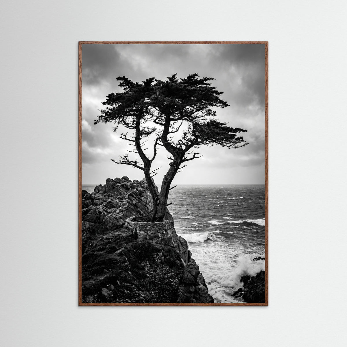 Oak Dark Windblown Grace