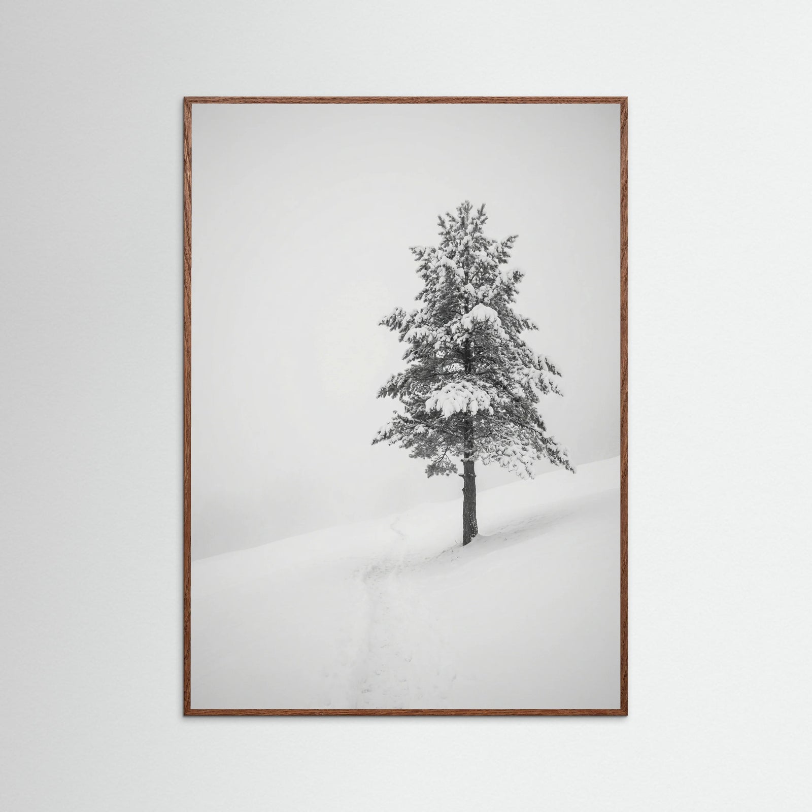 Oak Dark Winter Ascent