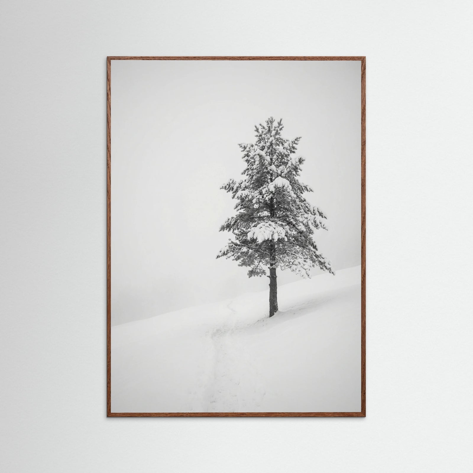 Oak Dark Winter Ascent