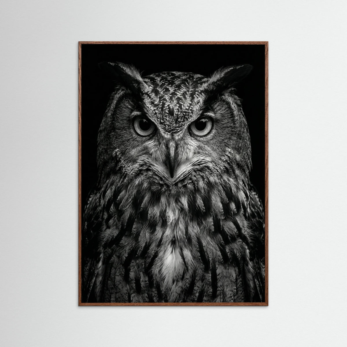 Oak Dark Wise Labrador