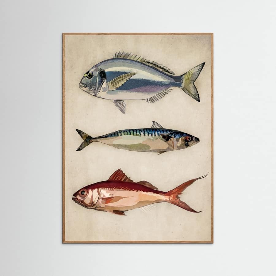 01 Deniz Baliklari Copy Poster – poster and art print