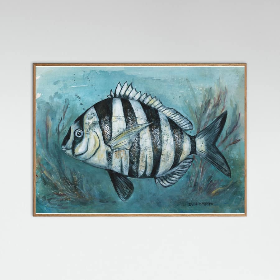 240 Zebra Master Poster – Poster und Kunstdruck