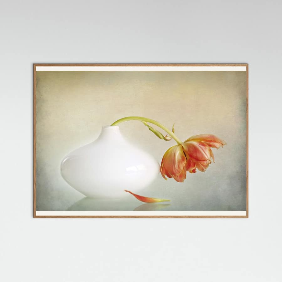 2lip Poster – Poster und Kunstdruck