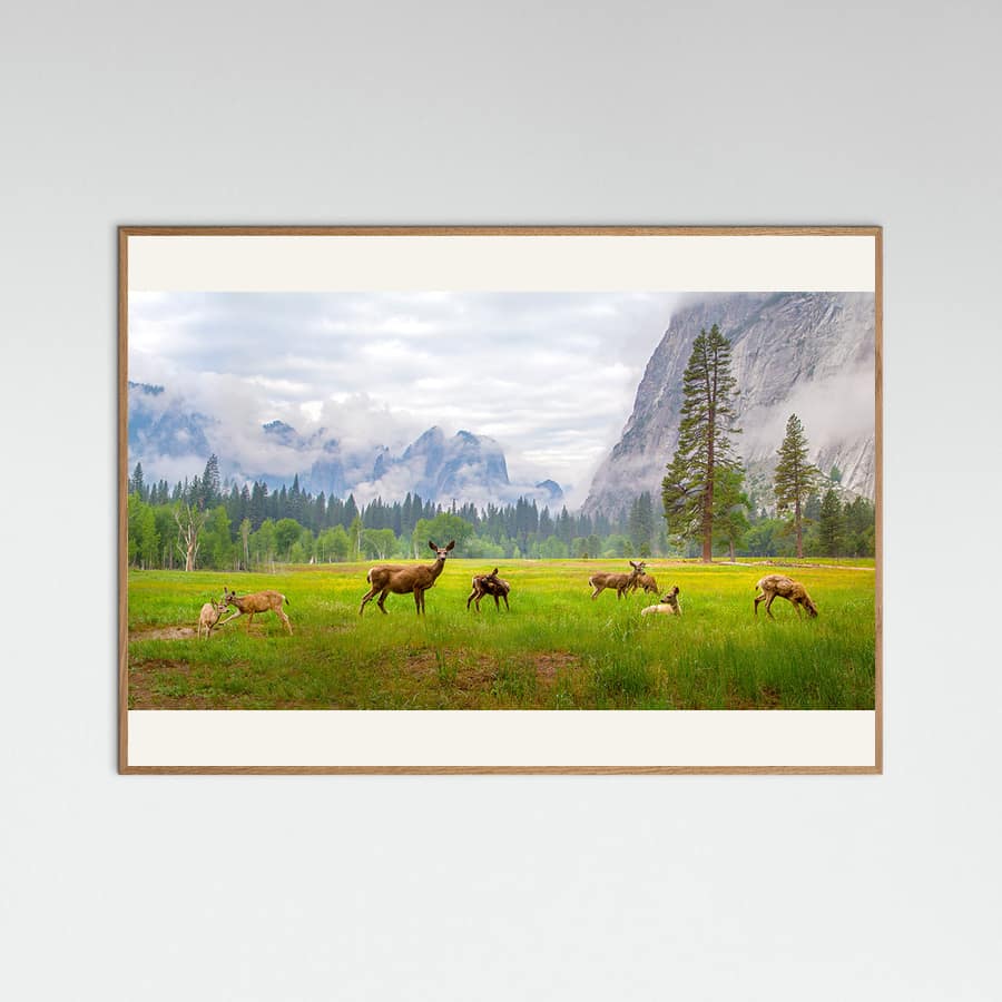 A Feeling of Ancient Time Poster – plakat og kunsttryk