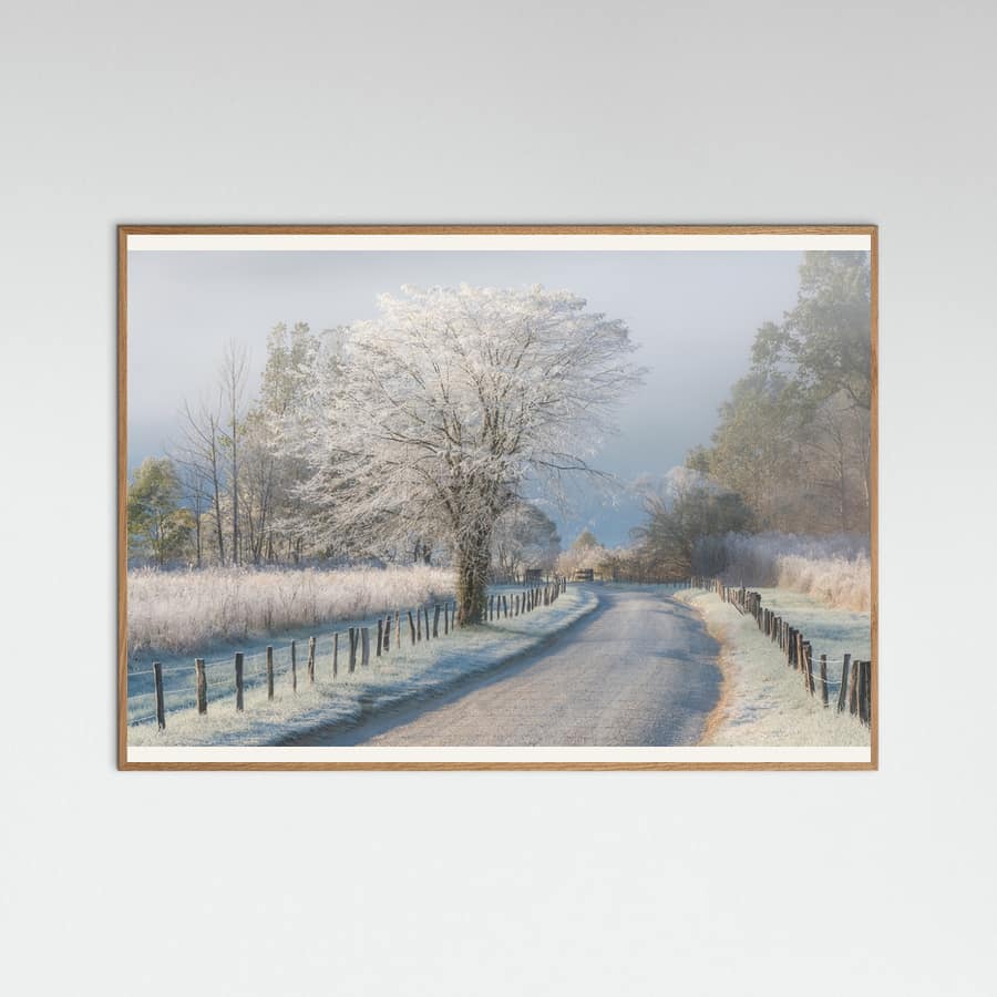 A Frosty Morning Poster – poster and art print