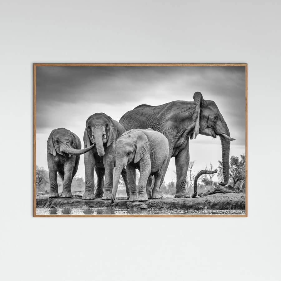 Póster A Giant Unity – póster e impresión artística
