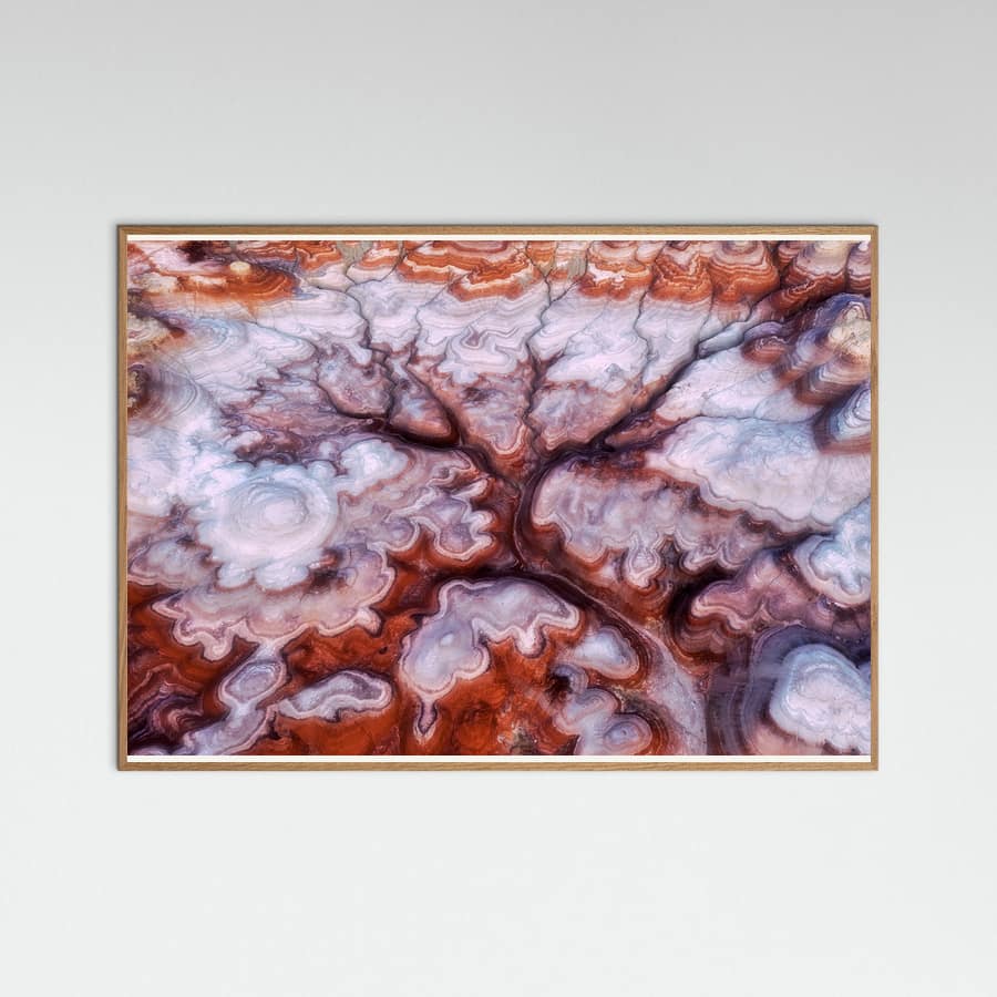 A Tree in the Desert Poster