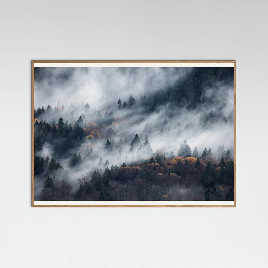 A path of the fog -juliste – juliste ja taidepainatus