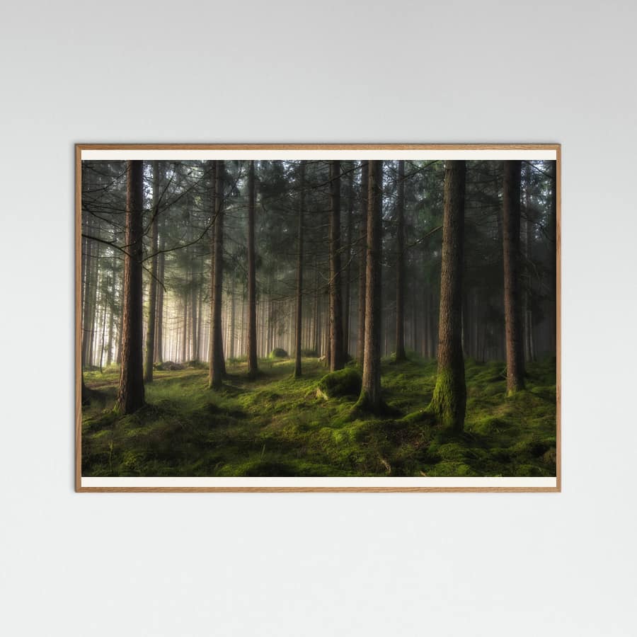 A sense of spring Poster – poster and art print