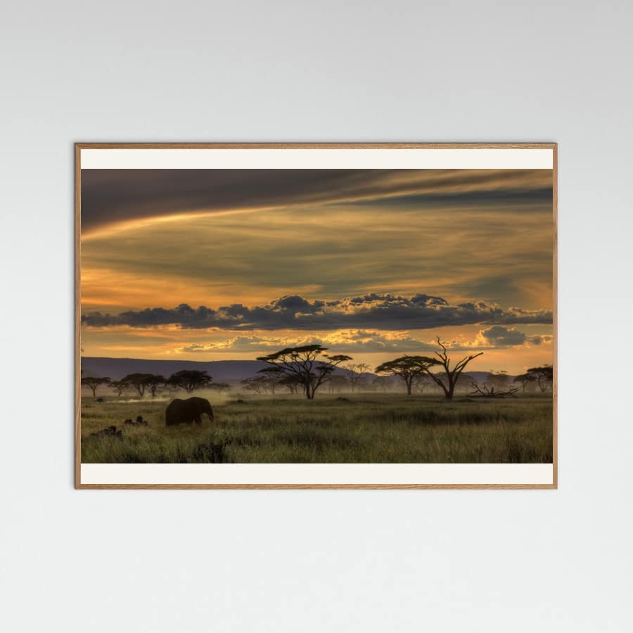 Africa Poster – plakat og kunsttryk