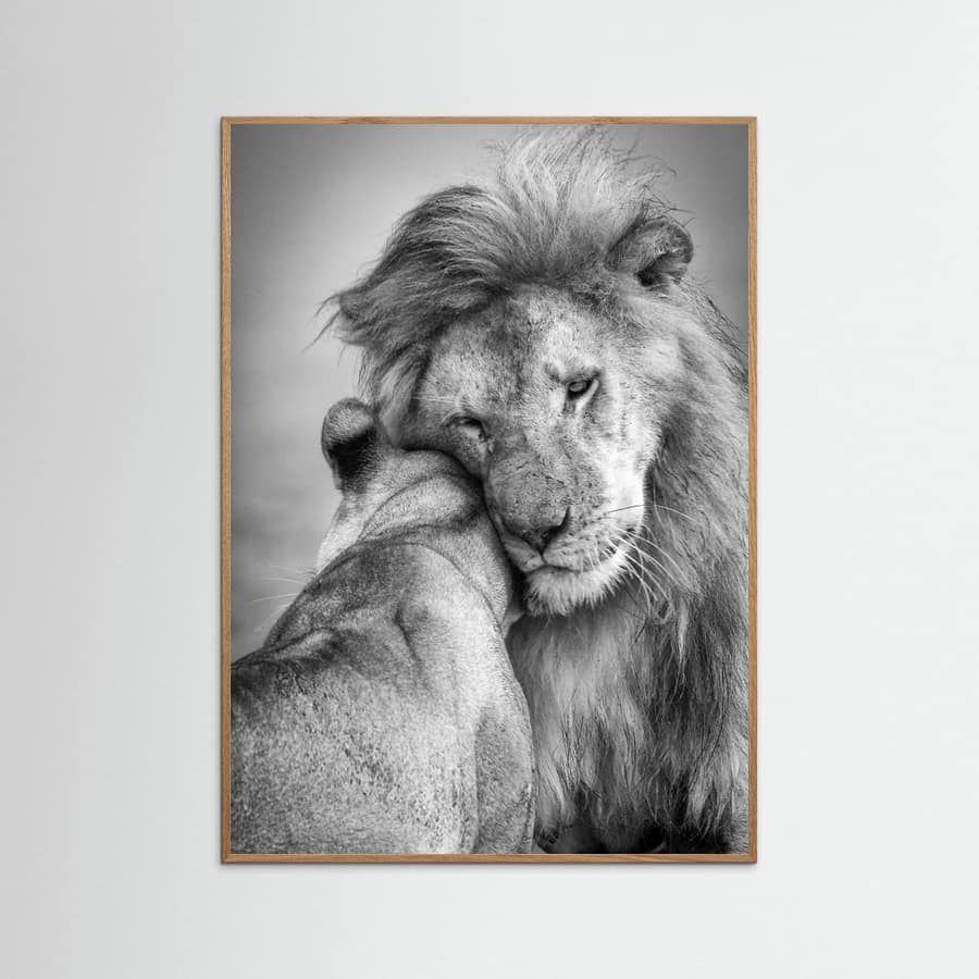 African Love! Poster – poster and art print