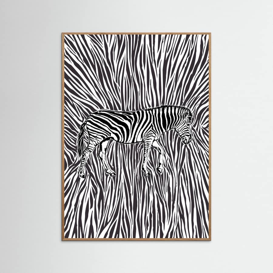Póster African Zebra striking camouflage