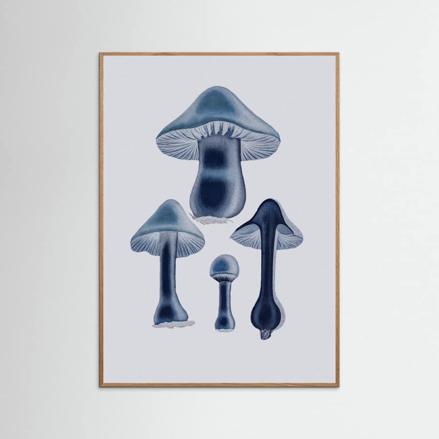 Agaricus Bulbosus - Blue Poster