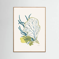 Oak Nature Algae No1 Poster