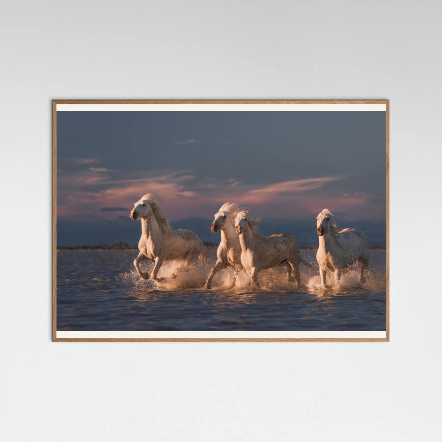 Angels of Camargue Poster – poster and art print