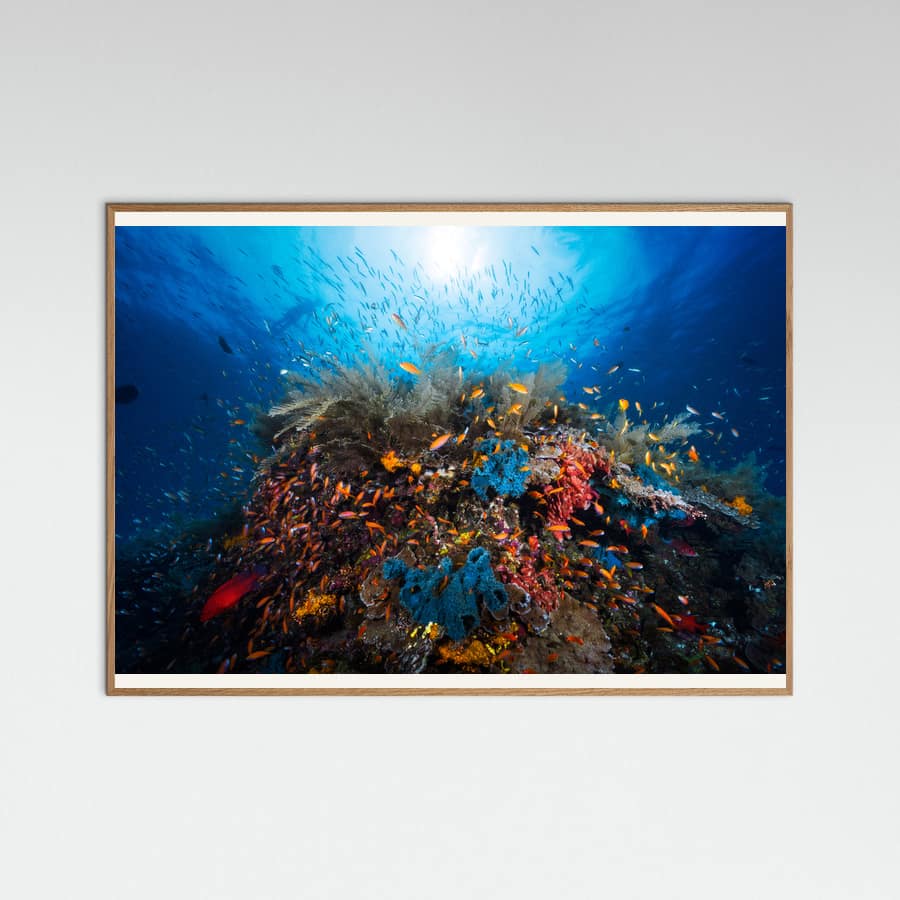 Apnea Poster