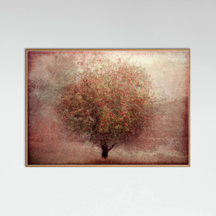 Apple tree Poster
