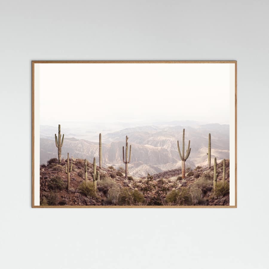 Arizona Valley Poster