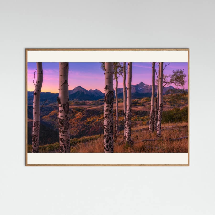 Aspen Frames Poster – plakat og kunsttryk