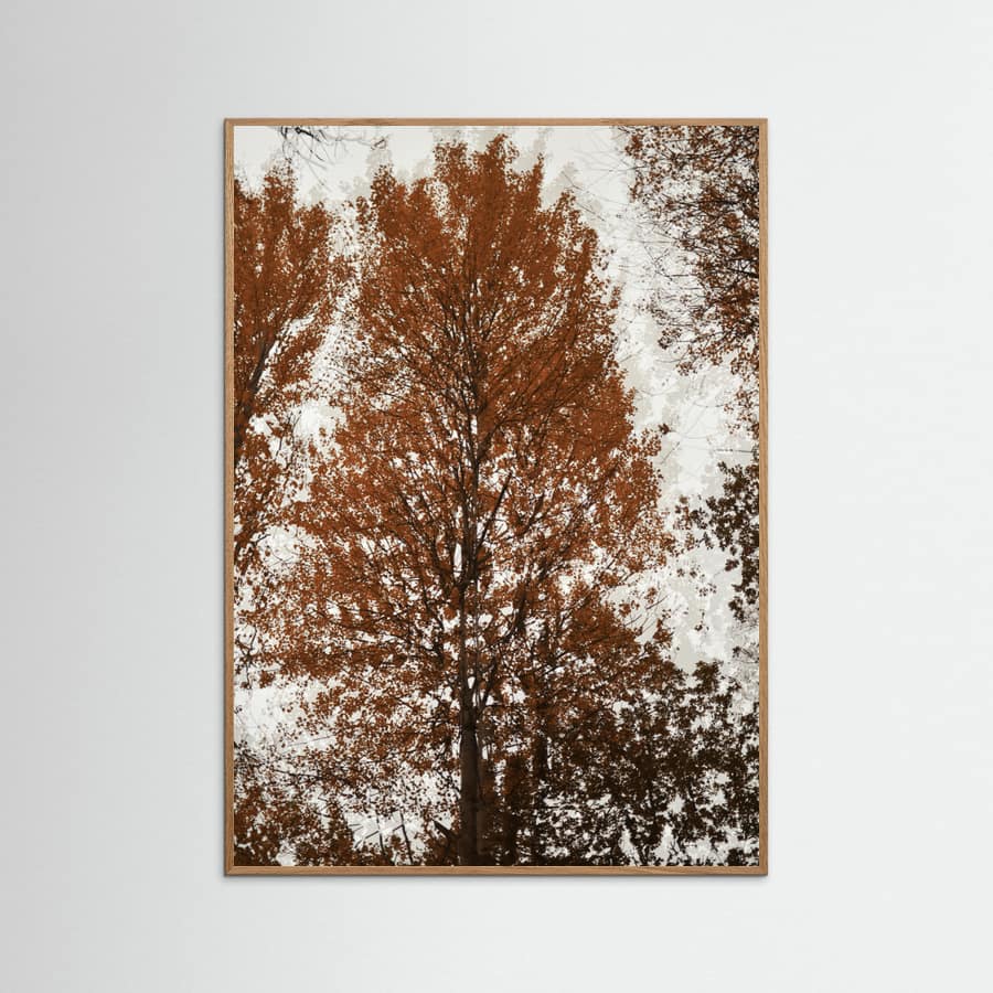 Aspen Poster – plakat og kunsttryk