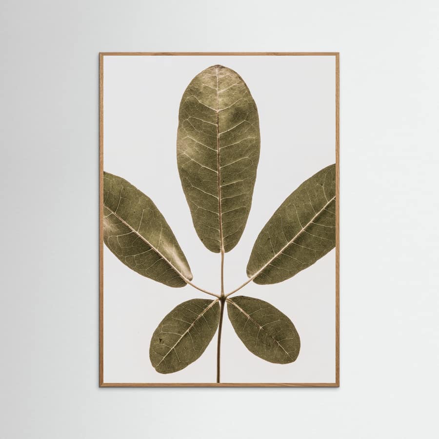 Autum Leaf Poster