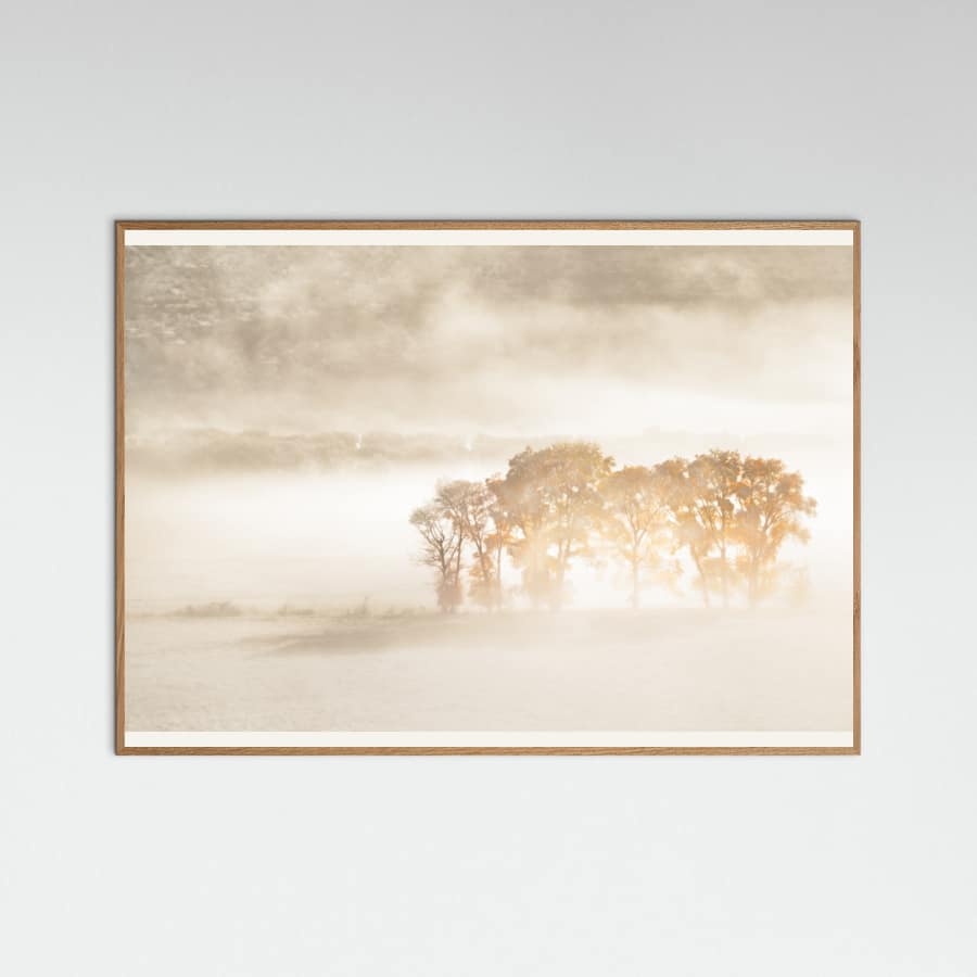 Autumn Dreams Poster – plakat og kunsttryk