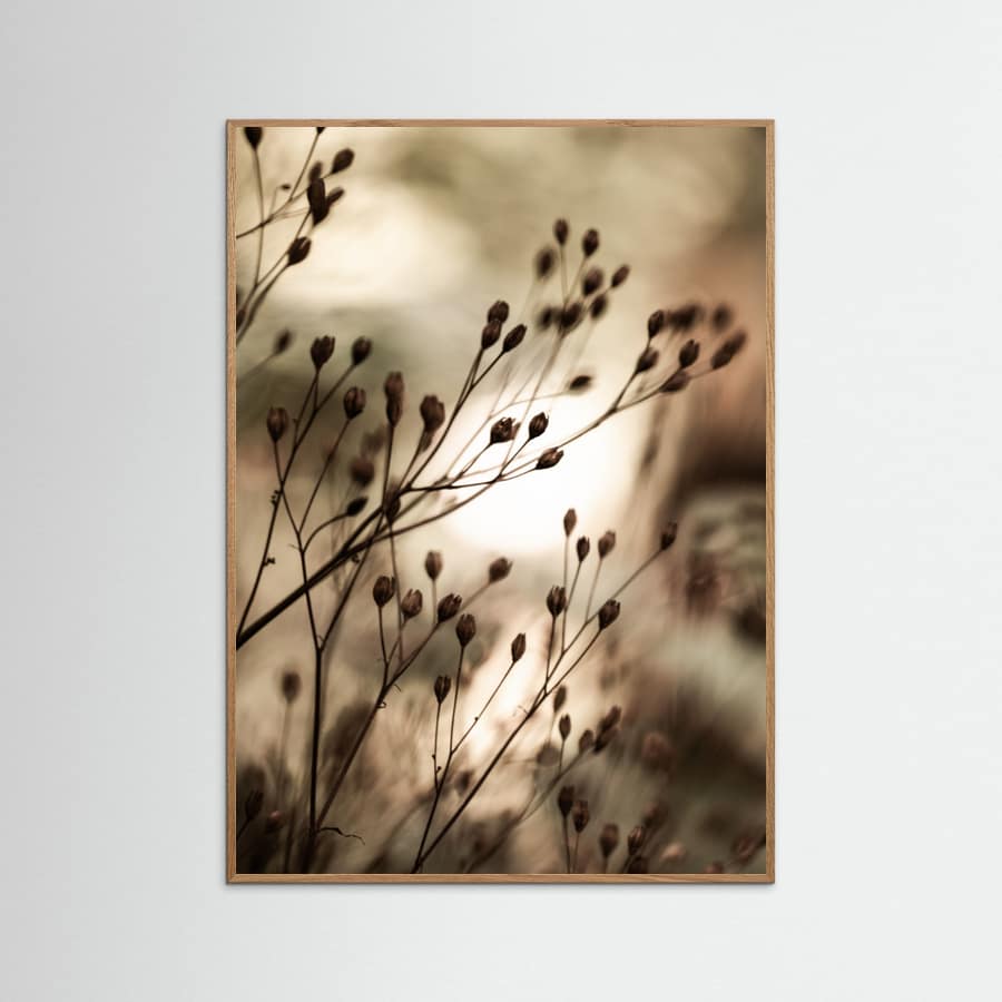 Autumn Lights Poster
