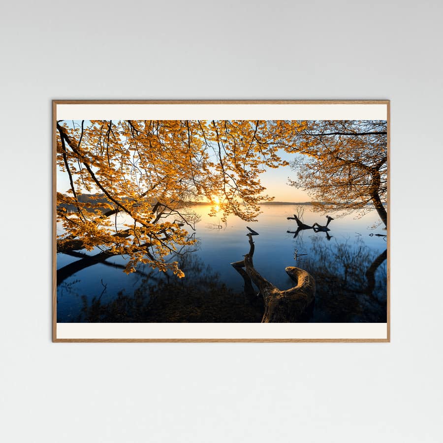 Autumn Morning Poster – Poster und Kunstdruck