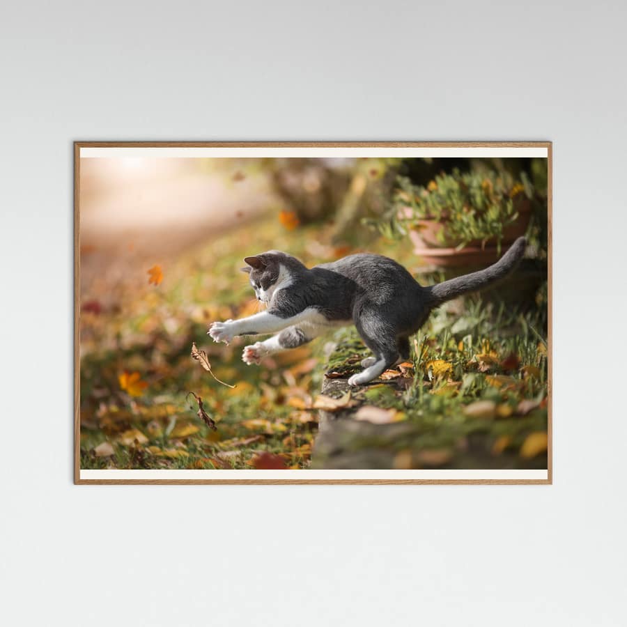 Autumn Play -juliste – juliste ja taidepainatus