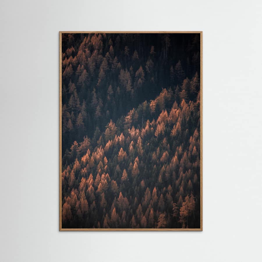 Póster Autumn Woods 2