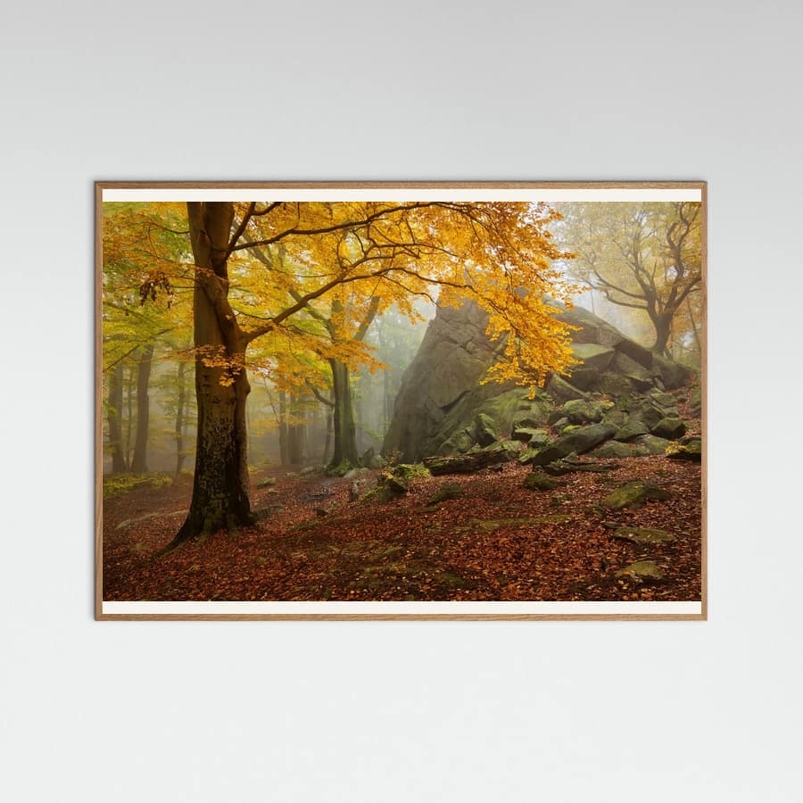 Autumn forest Poster – poster and art print