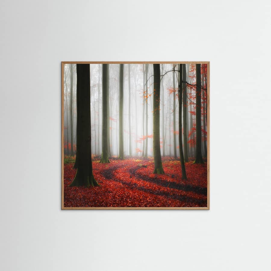 Autumnal Tracks Poster