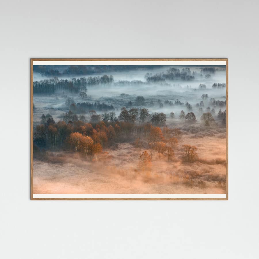 Autumnal misty dawn -juliste