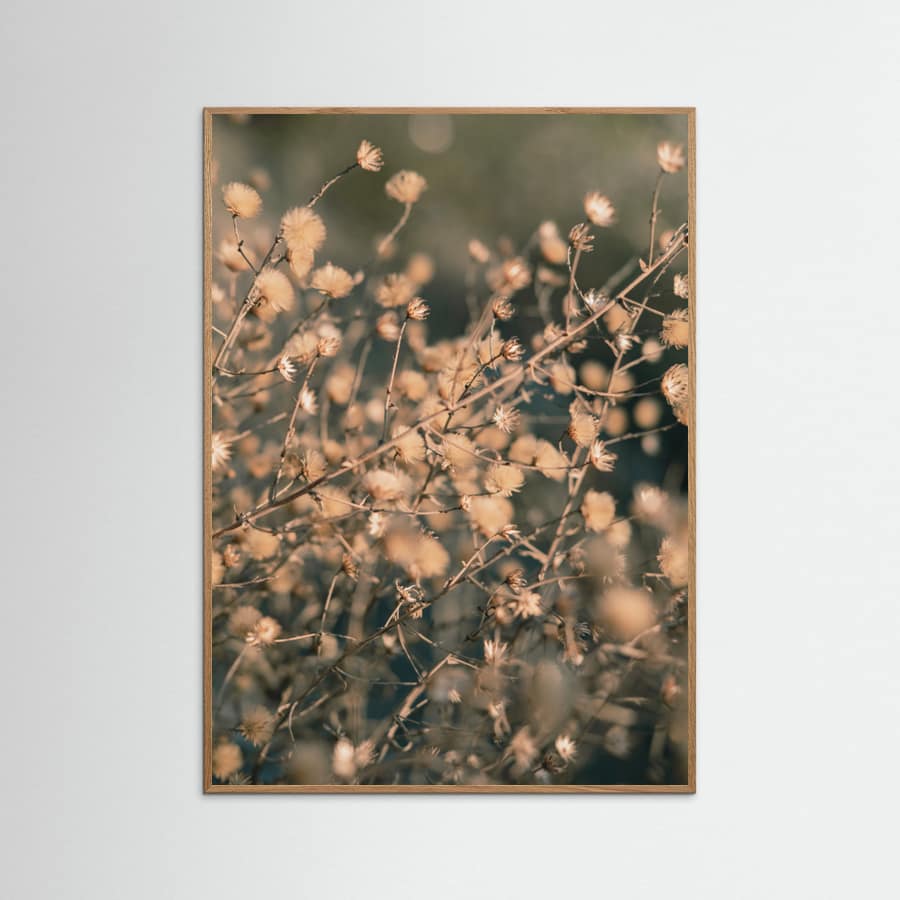 Beach flowers_003 Poster – Poster und Kunstdruck