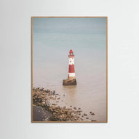 Oak Nature Beachy head lighthouse in England - summer nostalgic travel photography Poster