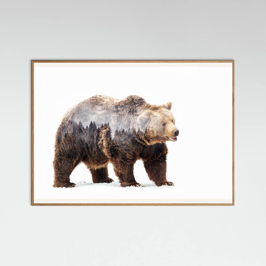 Bear Poster – poster and art print