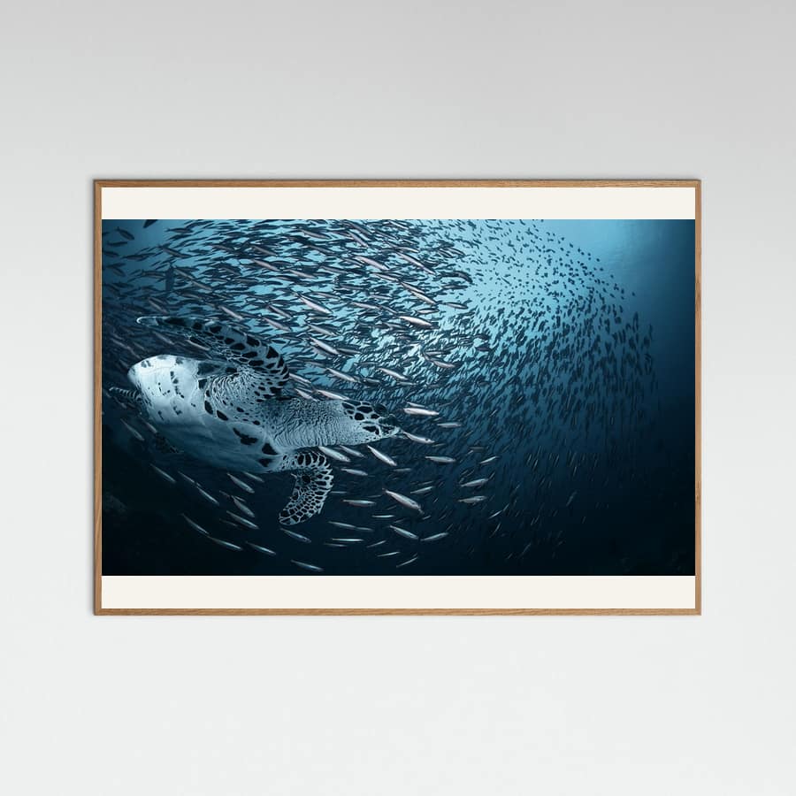 Bend Poster – plakat og kunsttryk